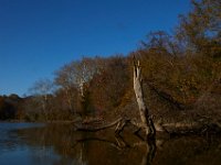 11-15-15-Nanjemoy-28224