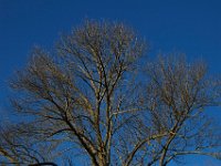 11-15-15-Nanjemoy-28276