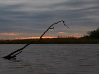 03-12-16-Nanjemoy-20616