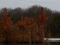 03-12-16-Nanjemoy-20718