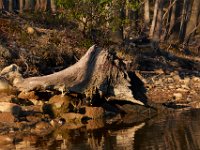 04-16-16-Rocky Gorge-21030