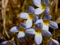 04-16-16-Rocky Gorge-21170
