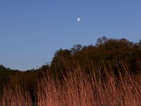 04-24-16-Nanjemoy-21831
