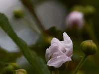 05-07-16-Piscataway-22388