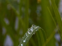 05-07-16-Piscataway-22514