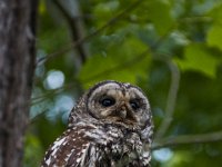 06-19-16-Piscataway-24943