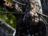 06-19-16-Piscataway-25101