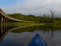 06-24-16-Mattaponi-25392