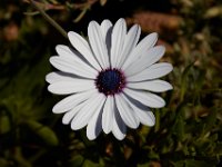 06-28-16-California-26964