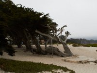06-30-16-California-27422
