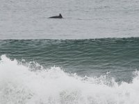 06-30-16-California-27446