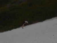 06-30-16-California-27539