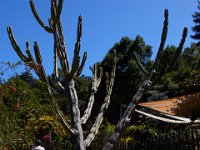 06-30-16-California-27906