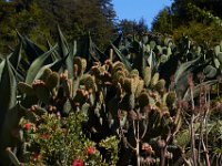 06-30-16-California-27912