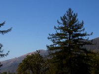 06-30-16-California-27916