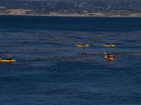 07-01-16-California-28584