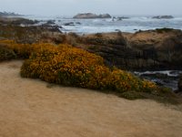 07-01-16-California-28855