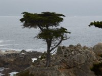 07-01-16-California-29054