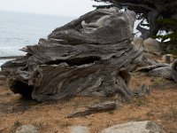 07-01-16-California-29076