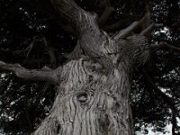 07-01-16-California-29098