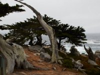 07-01-16-California-29118