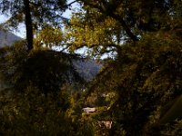 07-04-16-California-20145