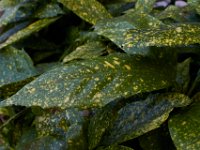 07-04-16-California-20161
