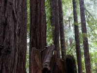 07-04-16-California-29830