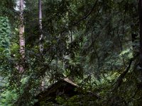 07-04-16-California-29887