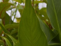 06-25-16-Nanjemoy-25714