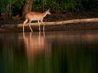 07-09-16-Triadelphia-20338