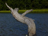 07-10-16-Nanjemoy-20930