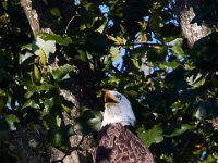 07-17-16-Tuckahoe-21240