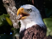 07-17-16-Tuckahoe-21255