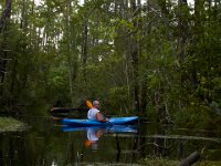 08-01-16-Alligator River-22478