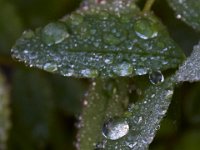 08-03-16-Indiantown Creek-23004