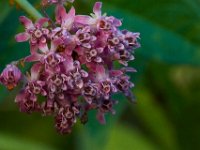 08-03-16-Indiantown Creek-23075