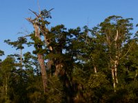 08-03-16-Indiantown Creek-23129