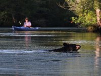 08-03-16-Indiantown Creek-23242-email