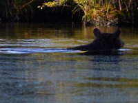 08-03-16-Indiantown Creek-23248