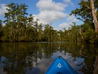 08-03-16-Indiantown Creek-23387