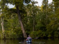 08-03-16-Indiantown Creek-23421