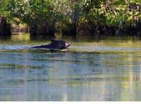 08-03-16-Indiantown-Creek-23249-email