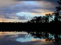08-04-16-Alligator River-2-23543