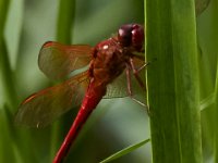 08-04-16-Alligator River-2-23636