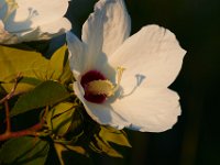 08-07-16-Nanjemoy-23767