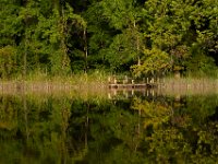 08-07-16-Nanjemoy-23821