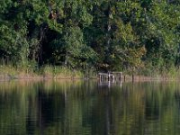 09-05-16-Nanjemoy-25700