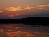 09-11-16-Mattawoman-25947
