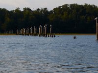 09-11-16-Mattawoman-26134